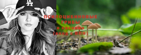 дживик Бронницы