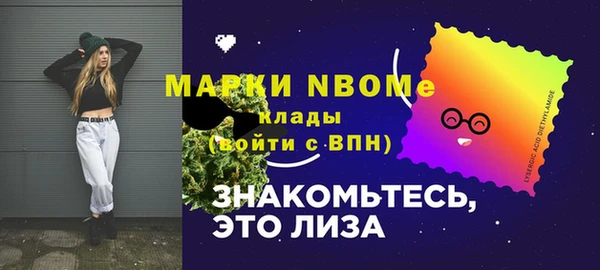 дживик Бронницы