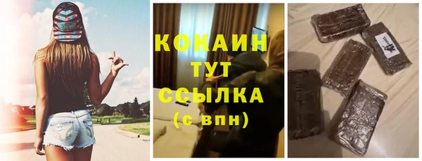 дживик Бронницы
