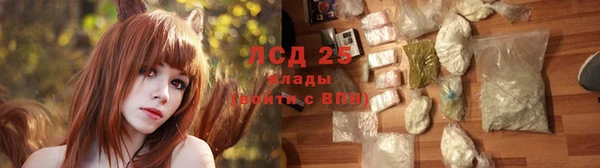 дживик Бронницы