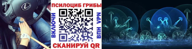 Галлюциногенные грибы мицелий  Мурино 